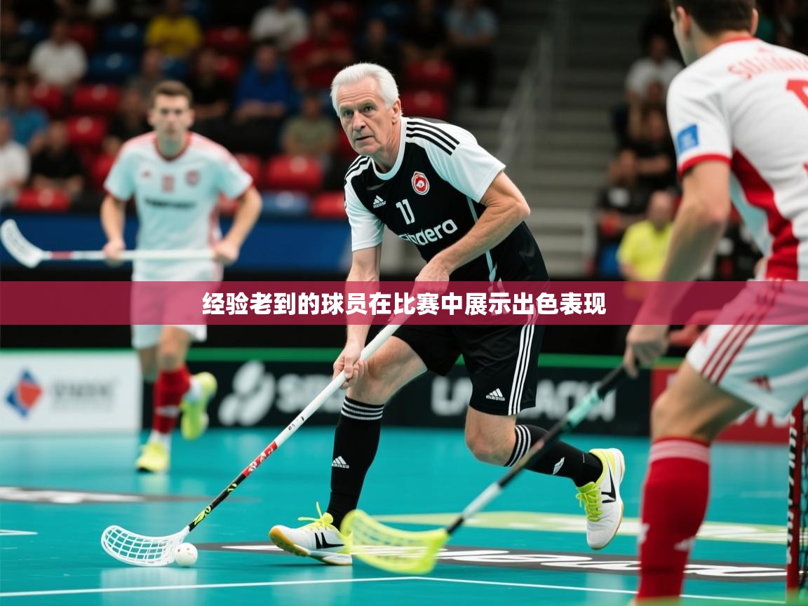 2025 体育资讯 欧宝体育下载经验老到的球员在比赛中展示出色表现